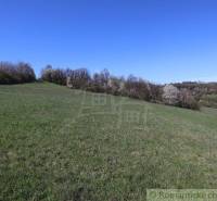 A mountain range with blooming trees and grass, ideal for a family home.
