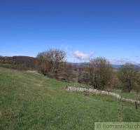 A rural landscape, hilly grass surrounded by trees, with a valley and a family house in the background.