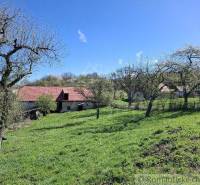 A family house with a red roof, fruit trees, and a vast green meadow in the countryside.