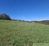A pristine nature and a meadow under a blue sky provide an ideal place for a family house.