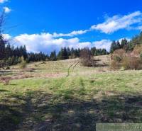 A country with green meadows and dense forest, surrounded by the sky and soft clouds.