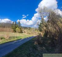 A winding road lined with trees and grass leads through a peaceful landscape under a blue sky.
