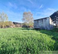 Well-maintained land with grass, trees, and an old building, suitable for living and recreation.