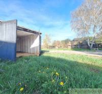 An open garage at a country house, grassy plot with yellow dandelions.