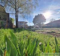 The greenery of the garden and the sunny weather complement the view of the houses and plots.