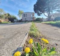 A country house on a plot with dandelions, surrounded by trees, suitable for living.