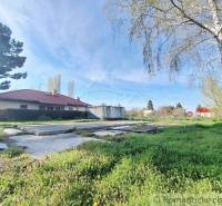 A grassy plot with a bungalow surrounded by trees, ideal for living in nature.