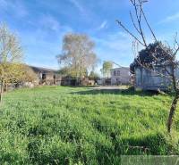 A large plot with a lawn, surrounded by trees, ideal for living and relaxation.