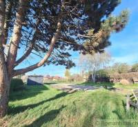 Beautiful plots with the possibility for living, a large tree, grass, and wooden structures in the background.