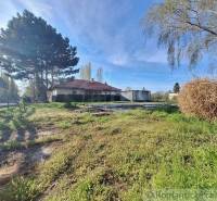 A house with a red roof, a large tree, and a fenced garden offers great living opportunities.