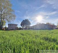 A sunny day, buildings and trees surround green plots suitable for living, relaxation.