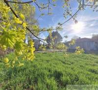 Wide green plots with trees, sky, and background for living and relaxation.
