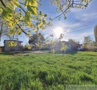 A grassy area with a house, the sun above the garden, spring, an ideal place to live.