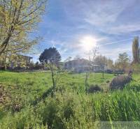 A sunny plot with trees and grass surrounds the land suitable for living.