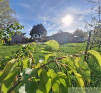 Beautiful countryside living with land, trees, and a clear sky.