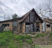 An old family house with a broken roof in the middle of nature and an unkempt garden.