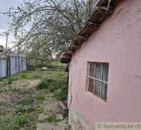 Garden, old shed, tree, bushes, fence, neglected area, family house.