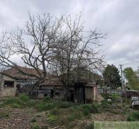 The picture shows an old family house surrounded by a neglected garden and trees.