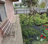 A garden of a family house with a bench, blooming tulips, and vines on a grassy area.