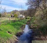 A cottage by the stream surrounded by greenery and trees on the edge of the forest.