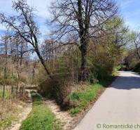 A rural asphalt road with nature and a cottage in the background, surrounded by trees.