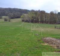 A vast green meadow surrounded by trees, ideal for a family house in the countryside.