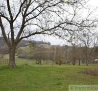 A spacious plot with a lawn, trees, and a view of a family house in the background.