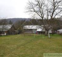 Large garden, older buildings, family house, trees; peaceful environment.