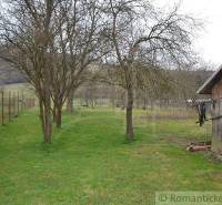 A garden with a wooden shed, fruit trees, and a lawn by a family house in the countryside.