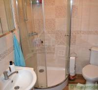 The bathroom includes a shower, a sink, and a toilet bowl in a family house.