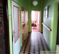 A hallway with green walls and patterned tiles in a family house leads to the living room.