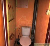 A small bathroom in a family house with a toilet, orange walls, and floral decorations.