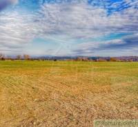 Vast fields under the blue sky, forests and gardens of nature on the horizon.