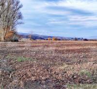 A field in the autumn season with hills in the background offers the tranquility of the countryside and gardens.