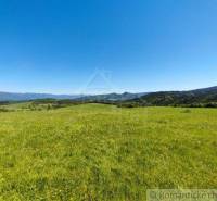Green meadows and majestic mountains on the horizon under a blue sky, the natural gardens of the land.