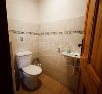 A small bathroom in a family house with ceramic tiles, a toilet, and a sink.