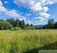 A vast meadow with a view of the forest and mountains, ideal for a family house.