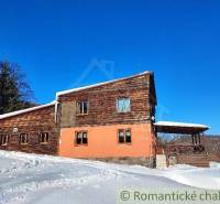 A snowy family house made of wood and brick with a porch, forest environment.