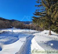 Snowy landscape, snowy path, dense forest, blue sky, nearby family house.