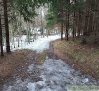 A snowy forest path leads through a coniferous forest and beautiful gardens.