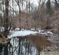 A river in the forest with snow on the bank, surrounded by trees. Romantic gardens in nature.