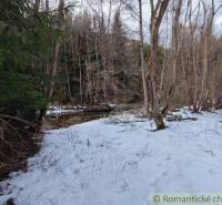 Snowy landscape near a forest and stream, suitable for nature and gardens.