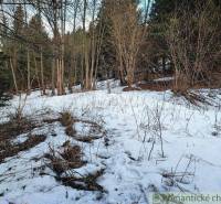 Snow covers the forest landscape near the garden, where bare trees are spread out.