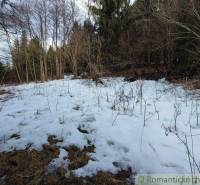 A snowy meadow in winter surrounded by trees, an ideal space for gardens and nature.