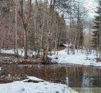 A snowy forest, a stream, paths, and gardens at the arrival of spring.