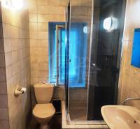 Small bathroom: shower, toilet, and sink, part of the interior of a family house.