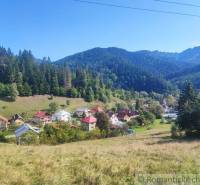 A village surrounded by nature, forests, and family houses in a picturesque landscape.