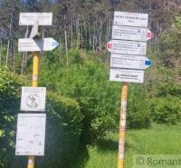Tourist signposts in a pine forest nature area. Distant tourist destinations are marked.