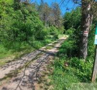 A forest path surrounded by greenery leads along a hiking trail in the nature reserve.