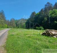 We see a path by the forest and a pile of wood on the grass, ideal for relaxation.